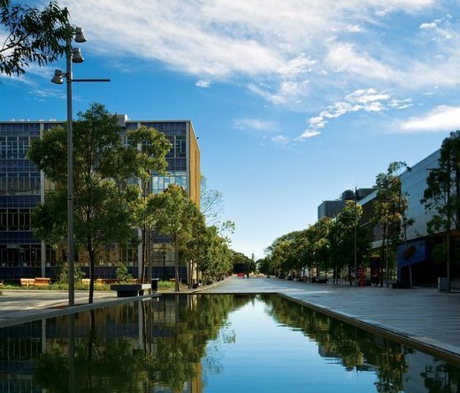 悉尼大学美丽的校园